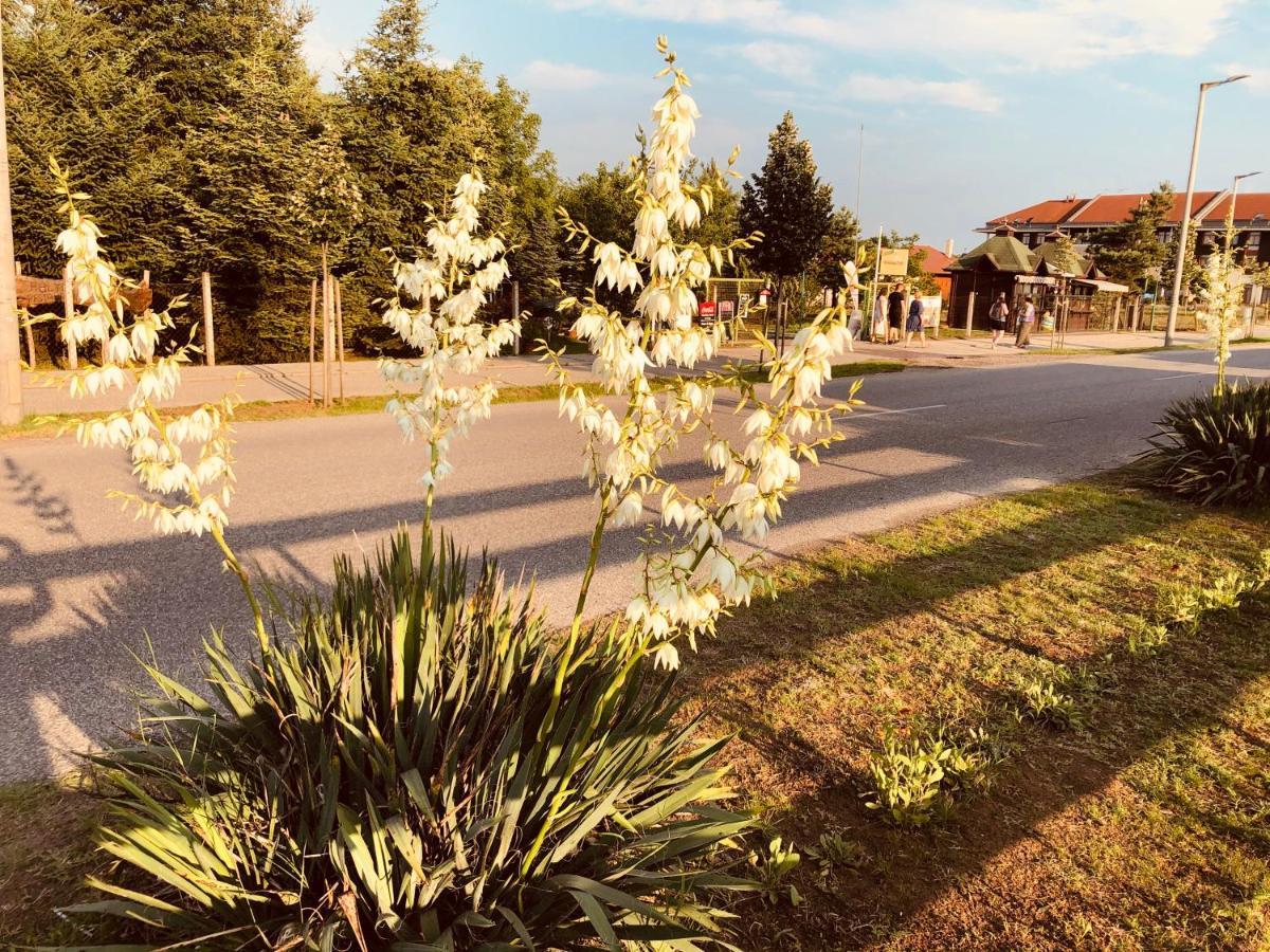 Club Thermal Village Cegled Exterior photo